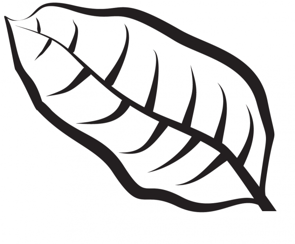 Leaf coloring page image