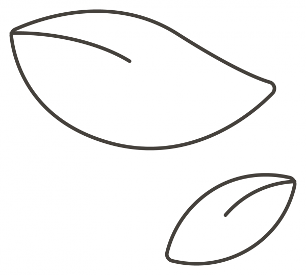 Leaf Fluttering in Wind coloring page image