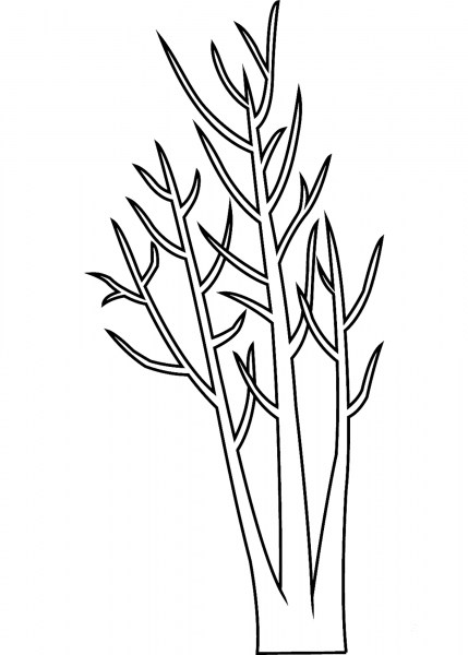 Leafless Tree coloring page image