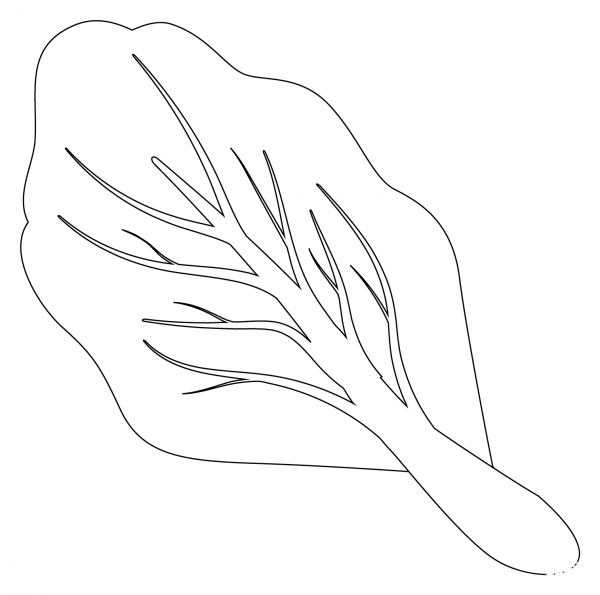 Leafy Green Emoji coloring page image