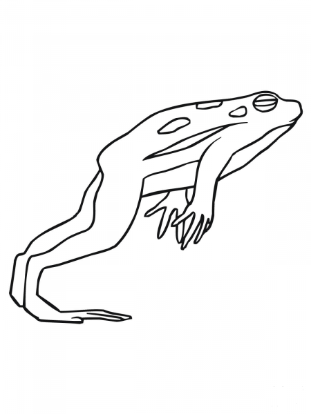 Leaping Frog coloring page image