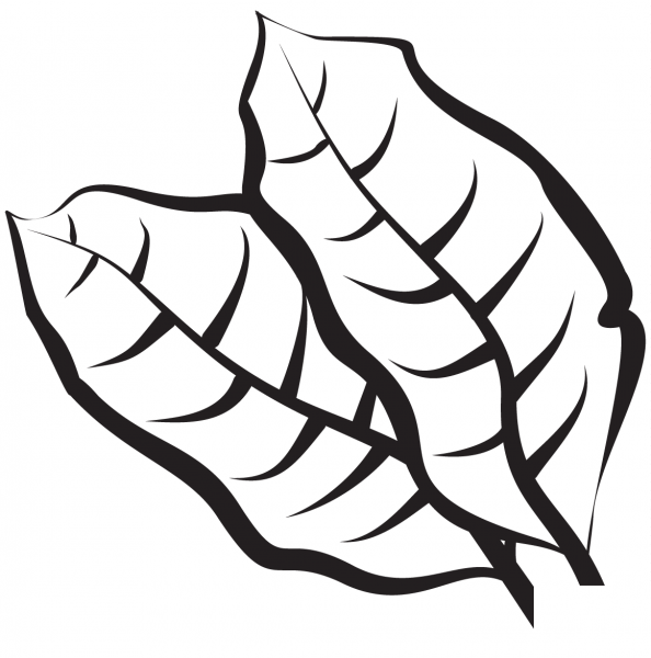 Leaves coloring page image