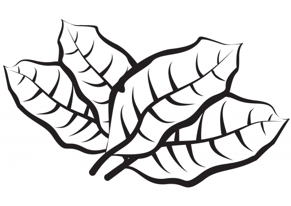 Leaves coloring page image