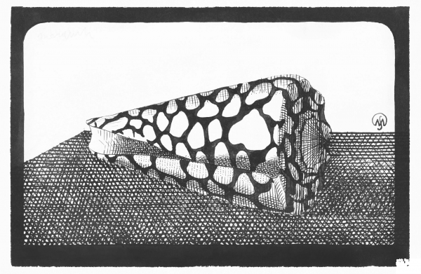 Left Side of Shell coloring page image