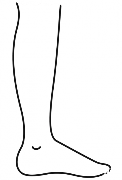 Leg coloring page image