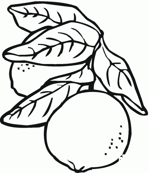 Lemon coloring page image