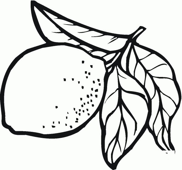 Lemon coloring page image