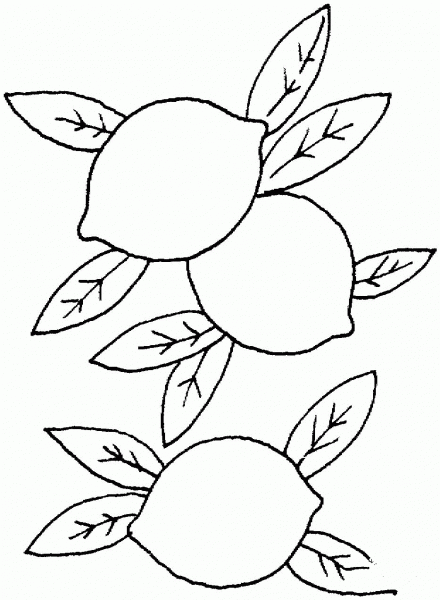 Lemon coloring page image
