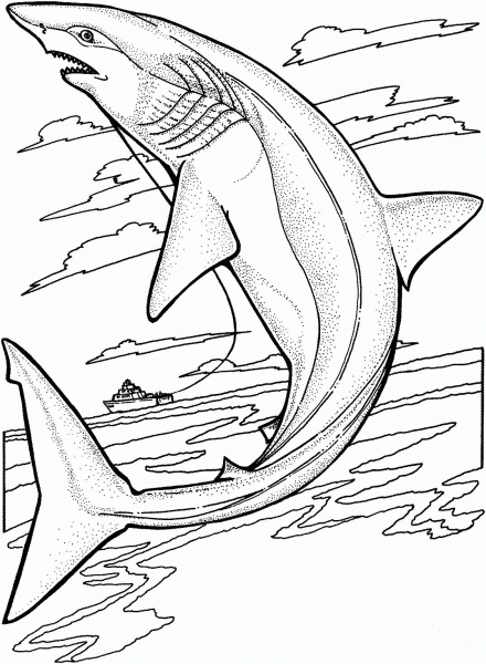 Lemon Shark Jumps Out of the Water coloring page image