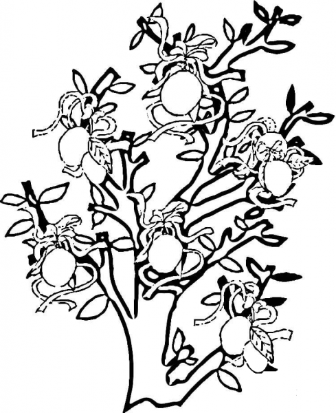 Lemon Tree  coloring page image
