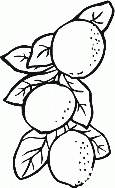 Lemons coloring page image