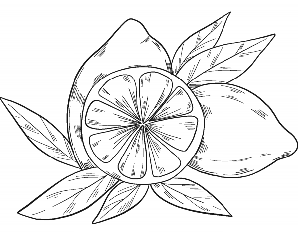 Lemons coloring page image
