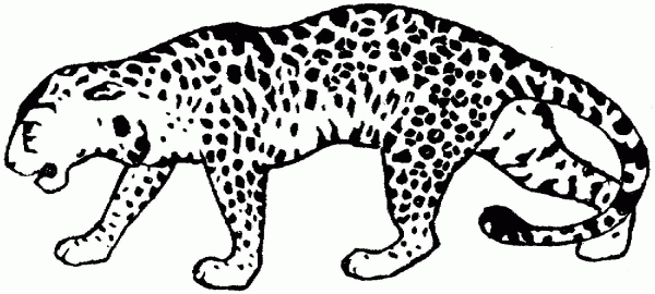 Leopard coloring page image