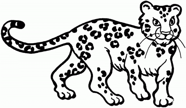 Leopard coloring page image