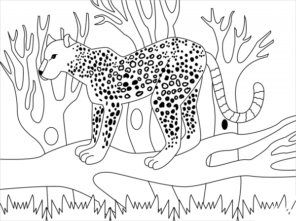 Leopard coloring page image