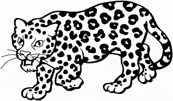 Leopard coloring page image