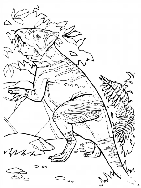 Leptoceratops Ceratopsian Dinosaurs coloring page image