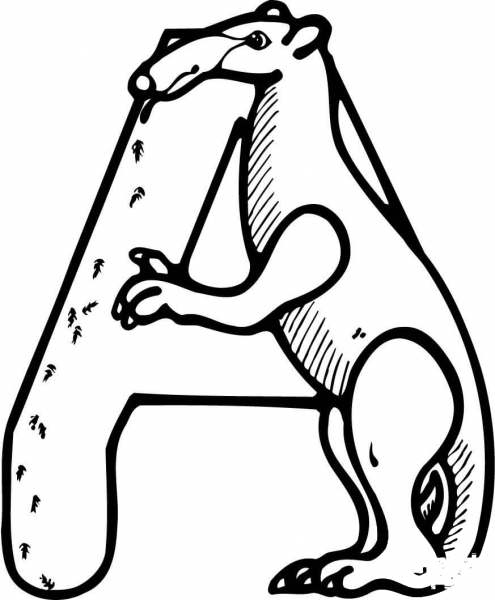 Letter A is for Anteater Or Tamandua coloring page image