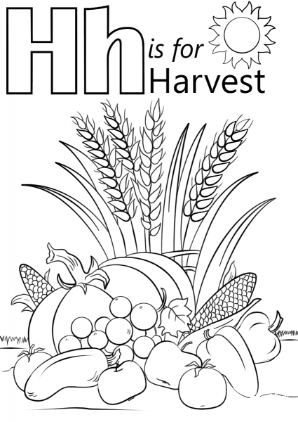 Letter H is for Harvest coloring page image