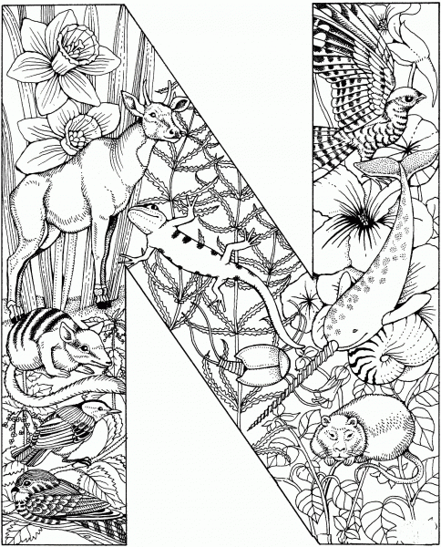 Letter N with Animals coloring page image