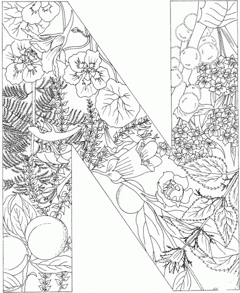 Letter N with Plants coloring page image