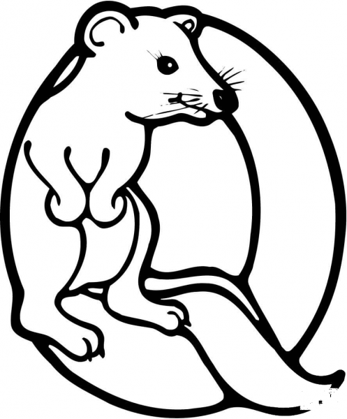 Letter Q is for Quokka coloring page image