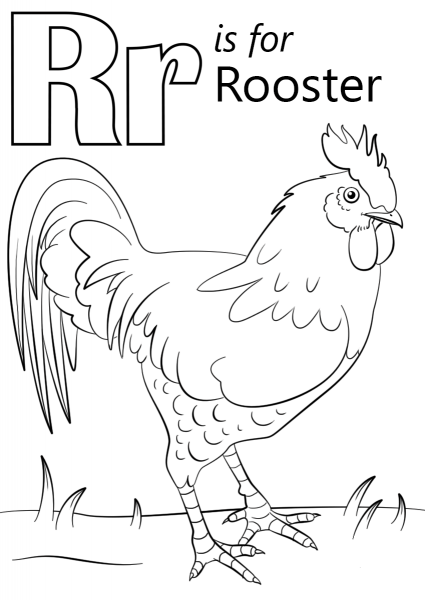 Letter R is for Rooster coloring page image