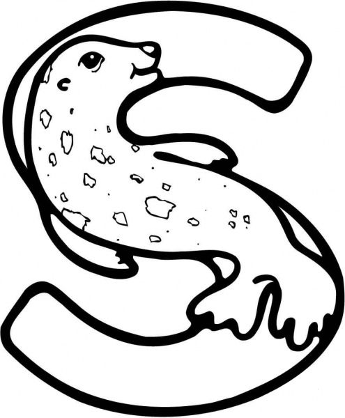 Letter S is for Seal coloring page image