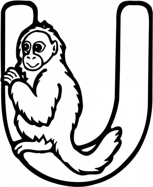 Letter U is for Uakari Monkey coloring page image