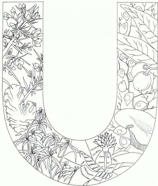 Letter U with Plants coloring page image