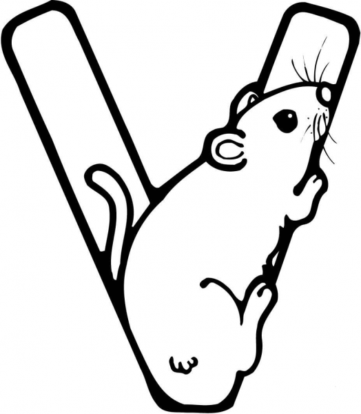 Letter V is for Vole Rodent coloring page image