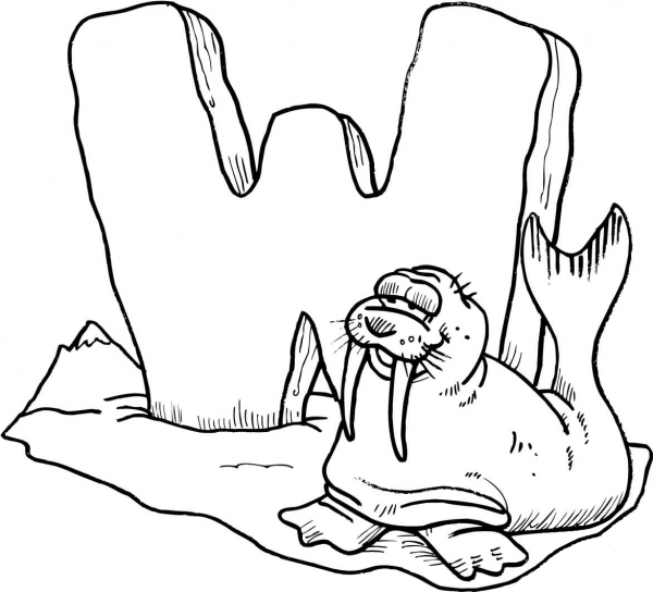 Letter W is for Walrus  coloring page image