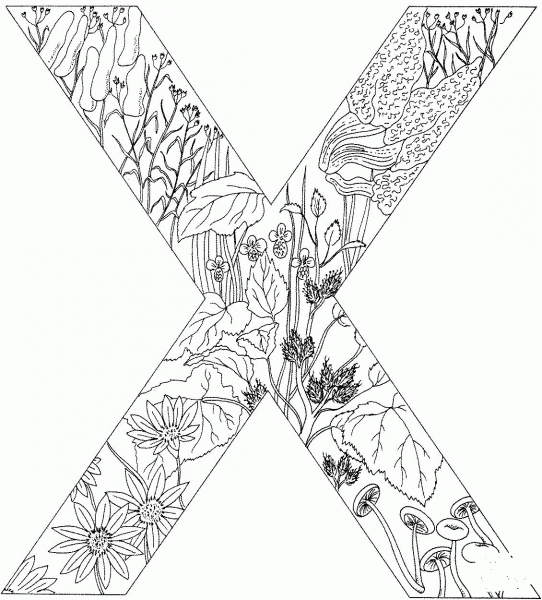 Letter X with Plants coloring page image