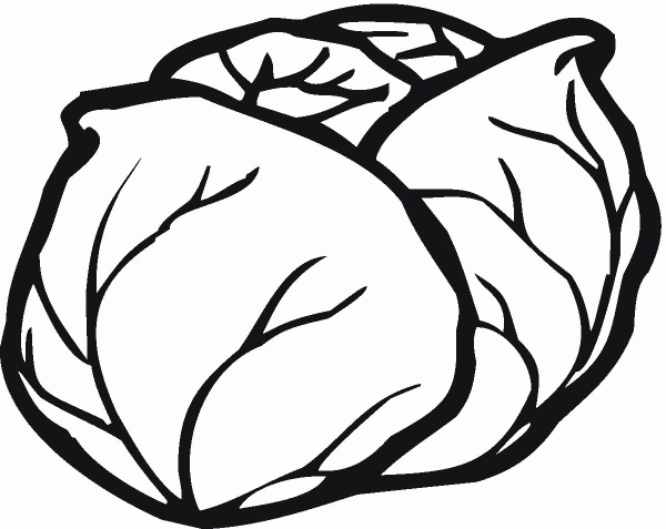 Lettuce coloring page image