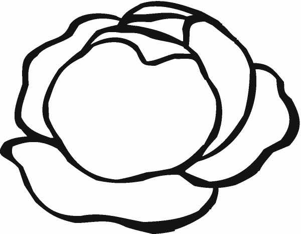 Lettuce coloring page image