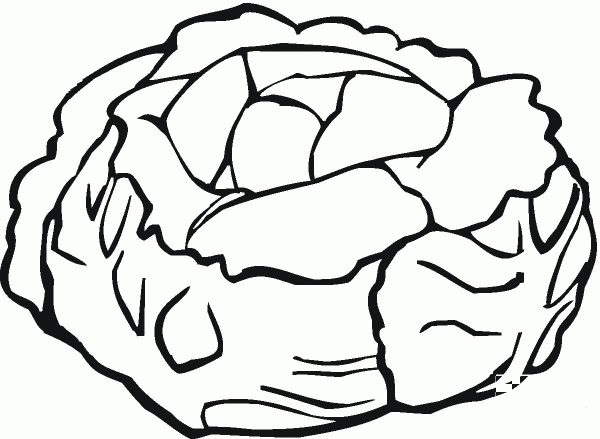 Lettuce coloring page image