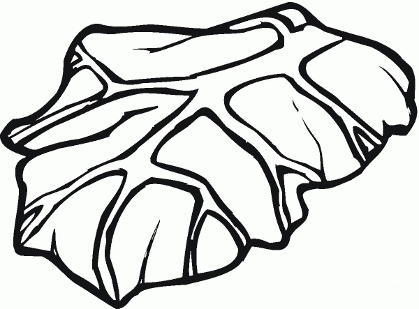 Lettuce coloring page image