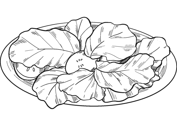 Lettuce Salad coloring page image