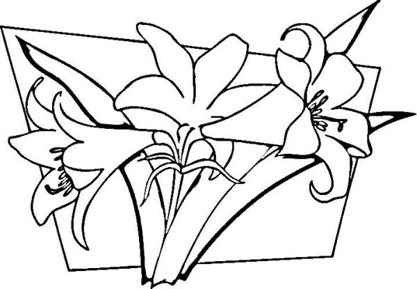 Lilies coloring page image