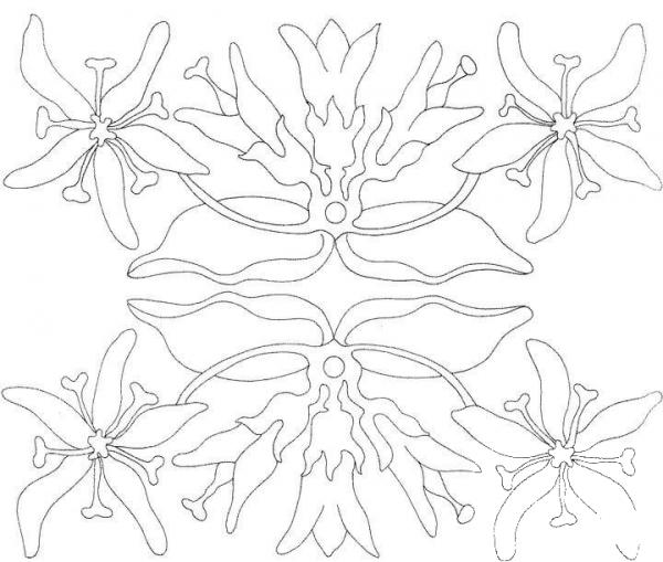 Lillies Outline  coloring page image