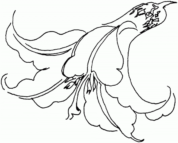 Lily 10 coloring page image