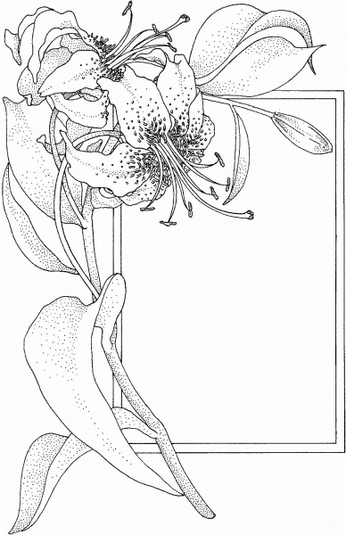 Lily and greeting card coloring page image