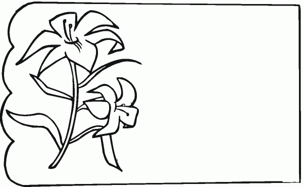 Lily coloring page image