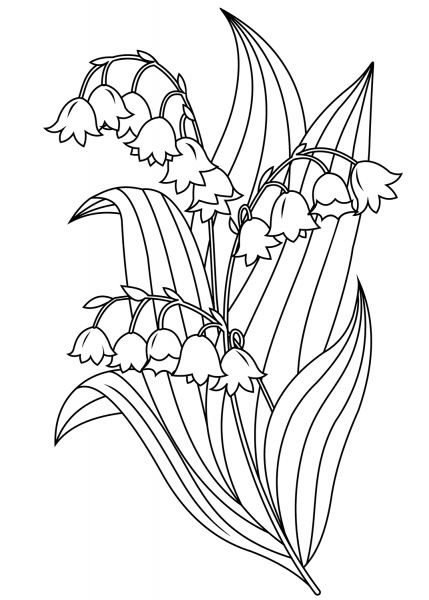Lily of the Valley coloring page image
