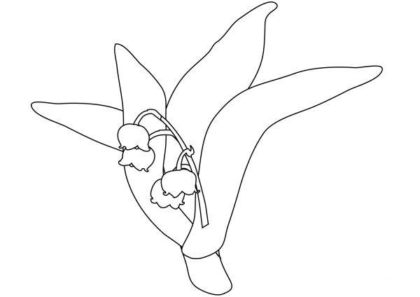 Lily Of The Valley coloring page image