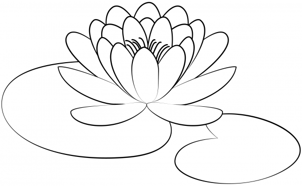 Lily Pad coloring page image