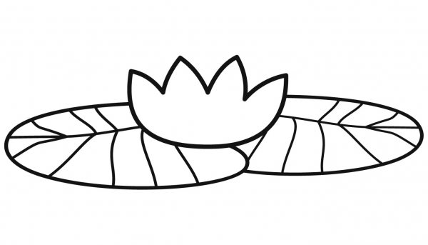 Lily Pad coloring page image