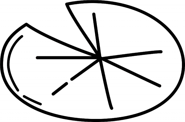 Lily Pad coloring page image