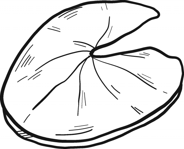 Lily Pad coloring page image