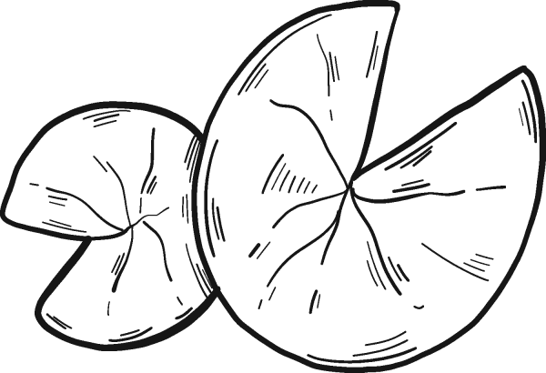 Lily Pad coloring page image
